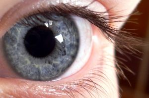 closeup blue/grey eye