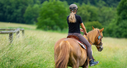 Young women ridding horse